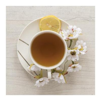 JustVedic Men Fertili Instant Tea Mix 60 gm - Teas
