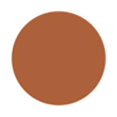 Too Faced Born This Way Super Coverage Concealer Butterscotch 13.5ml - Concealer