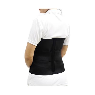 P+caRe Back to Firm Support (A1009) (L) - Back/Abdomen Supports