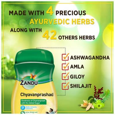 Zandu Chyavanprashad With No Added Sugar 450 gm - Chyawanprash