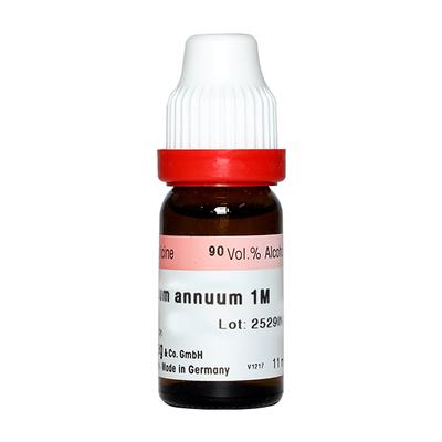 Dr. Reckeweg Capsicum Annuum 1M Liquid 11 ml - Dilutions