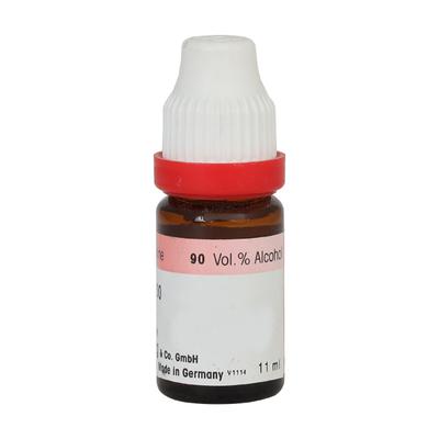 Dr. Reckeweg Terebinthina Oleum 30 Liquid 11 ml - Dilutions