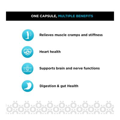 Hohner Magnesium 310 mg Veg Capsule 60's - Calcium And Minerals