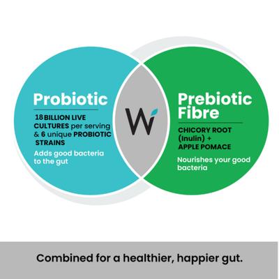 Wellbeing Nutrition Probiotic + Prebiotic Fibre Effervescent Tablet - Green Apple & Peppermint (Pack of 4 x 21's) - Digestive Health