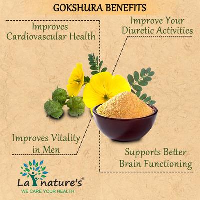 La nature's Gokshura 500 mg Capsule 60's - Speciality Medicines