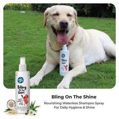 Capt. Zack Bling On The Shine Shampoo Spray 250 ml - Pet Healthcare
