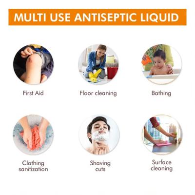 Dabur Sanitize Antiseptic Liquid 125 ml - Personal Care (Ayush)