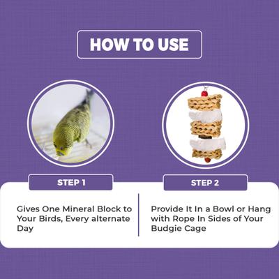 Petvit Calcium Mineral Block 300 gm - Petfood