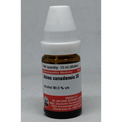 Dr. Willmar Schwabe Abies Canadensis 30 CH Drops 10 ml - Homeopathic Drops