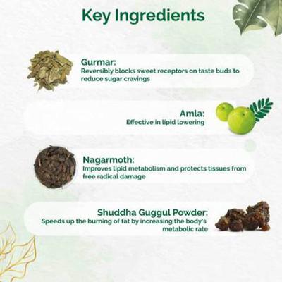 Dr. Vaidya's Lipoherb Capsule (Pack of 3 x 30's) - Speciality Medicines