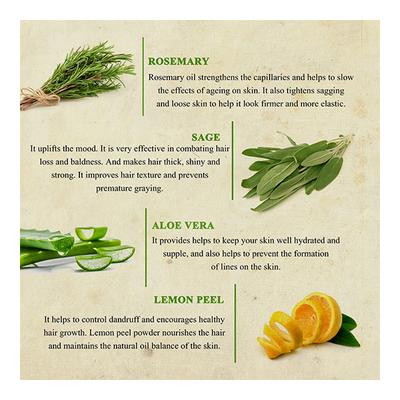 Bioayurveda Basics Vitamin Verve Vitalising Conditioner 500 gm - Conditioners