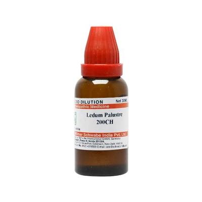 Dr.Willmar Schwabe Ledum Palustre 200CH Liquid 30 ML - Dilutions