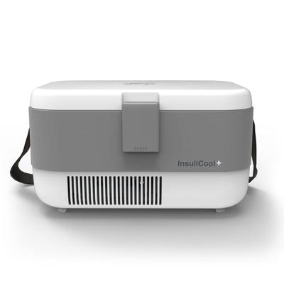 Godrej Insulicool Portable Cooler (0.5L) - Grey - Health Monitors And Equipment