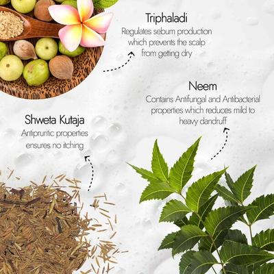 Kapiva Hair Rituals Dandruff Control Shampoo - Neem & Triphala 250 ml - Shampoos