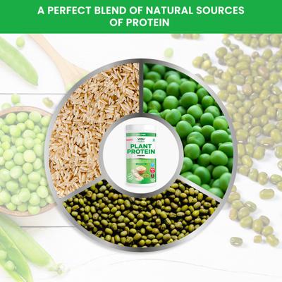 Vasu Nutra Plant Protein Powder 400 gm - Health Products