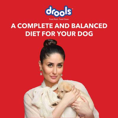Drools Puppy Starter Dog Food 3000 gm - Petfood