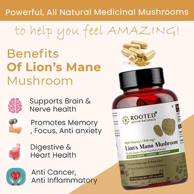 Rooted Active Naturals Lion's Mane Mushroom Veg Capsule 120's - Pure Herbs