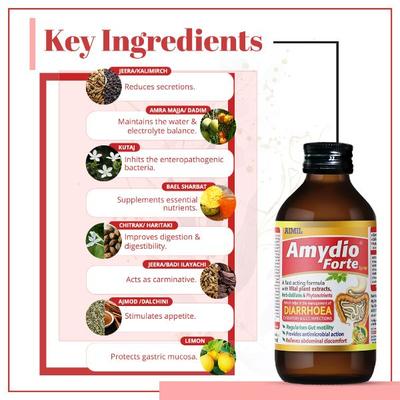 Aimil Amydio Forte Syrup (Pack of 6 x 100 ml) - Digestive Care
