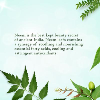 Aravalli Neem Face Scrub 100 gm - Personal Care (Ayush)