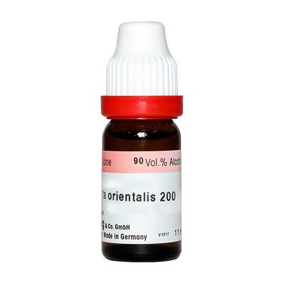 Dr. Reckeweg Blatta Orientalis 200 Liquid 11 ml - Dilutions