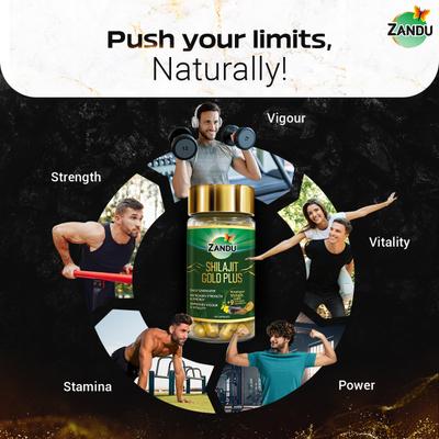 Zandu Shilajit Gold Plus Capsules 60's - Sexual Healthcare