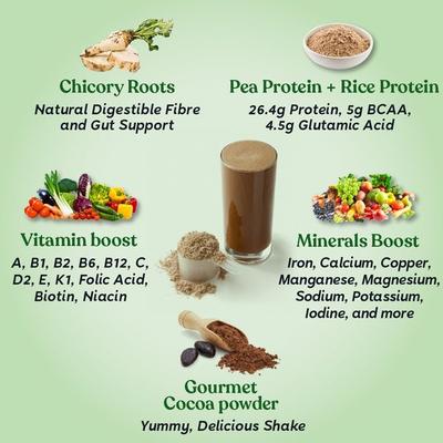 Kapiva Vegan Protein Powder - Chocolate 1 kg (N) - Speciality Medicines