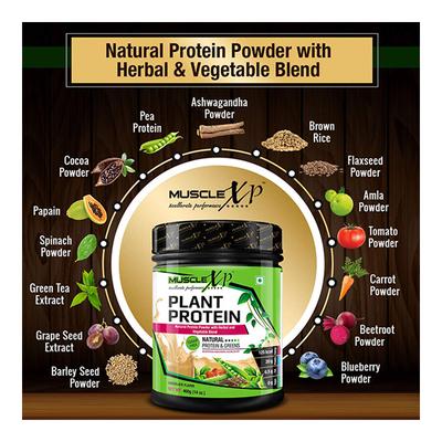 MuscleXP Plant Protein Powder - Chocolate Flavour 400 gm + Shaker 1's - Whey Proteins
