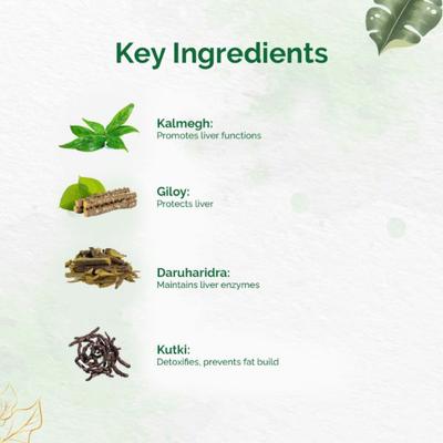 Dr. Vaidya's Liver Care Capsule 30's - Speciality Medicines