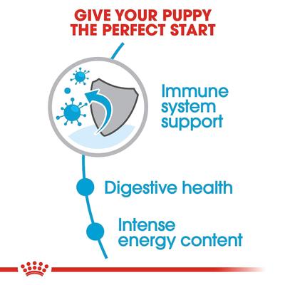 Royal Canin Mini Puppy Dry Dog Food (Upto 10 kg) 4 kg - Petfood