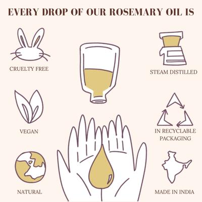 Essentia Extracts Pure Steam Distilled Essential Oil - Rosemary (Pack of 2 x 15 ml) 1's - Essential Oils