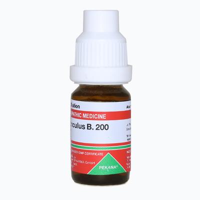 Adel Ranunculus B. 200 Liquid 10 ml - Dilutions