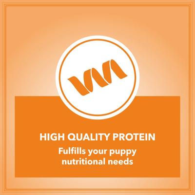 Let's Bite Active Adult Dry Dog Pet Food with Real Chicken Egg Chicken Liver (Extra Free 1Kg) 10 kg - Petfood