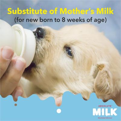 Drools Absolute Milk for Newborn Puppies 500 gm - Petfood
