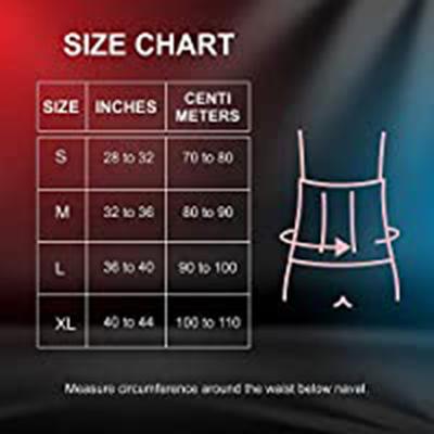 BPL OrthoCare Contoured Lumbar Support (L) - Back/Abdomen Supports