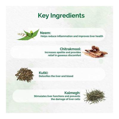 Dr.Vaidya's LIVAYU - Liver Protector Capsules (Pack of 2 x 30's) - Speciality Medicines