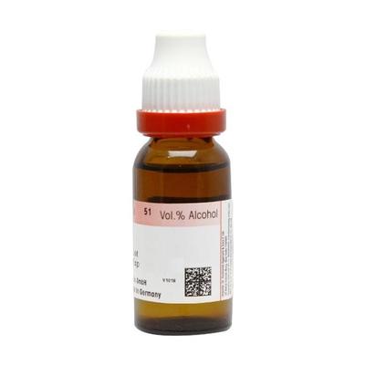 Dr. Reckeweg Senega Ø Liquid 20 ml - Mother Tincture