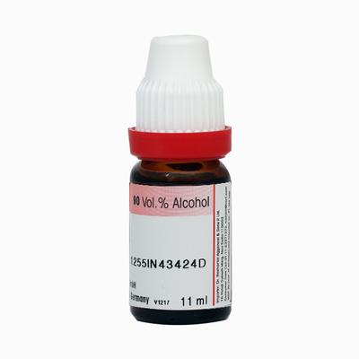 Dr. Reckeweg Agnus Castus 1M Liquid 11 ml - Dilutions