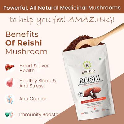 Rooted Active Naturals Reishi Mushroom Extract Powder 120 gm - Pure Herbs
