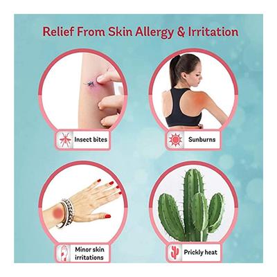 Caladryl Skin Soothing Solution 65 ml - Itching/Rashes