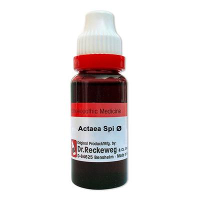 Dr. Reckeweg Actea Spicata Ø Liquid 20 ml - Mother Tincture