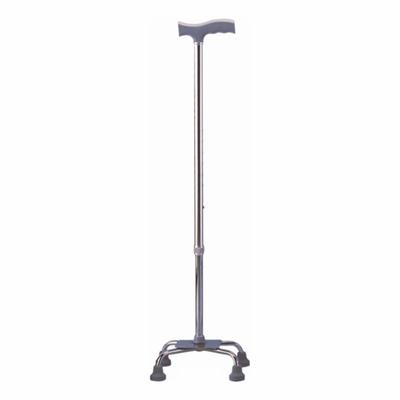 EasyCare Aluminium Walker Stick (EC924) - Others