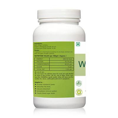 Kashvy Organic Wheatgrass Powder - Orange Flavour 100 gm - Speciality Medicines