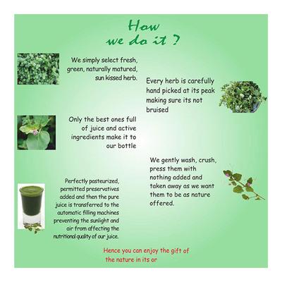 Axiom Jeevan Ras Punarnava Panchang Juice 500 ml - Ayurvedic Juices