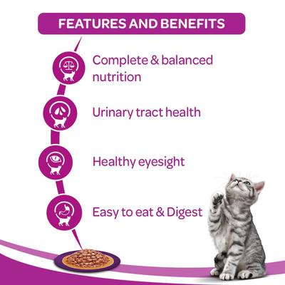 Whiskas Adult Salmon in Gravy (Pack of 85gm x 48) 4080 gm - Petfood
