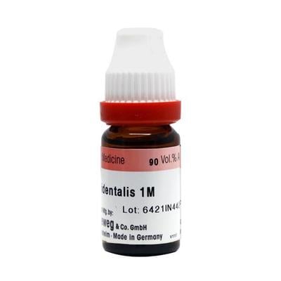 Dr. Reckeweg Thuja Occidentalis 1M Liquid 11 ml - Dilutions