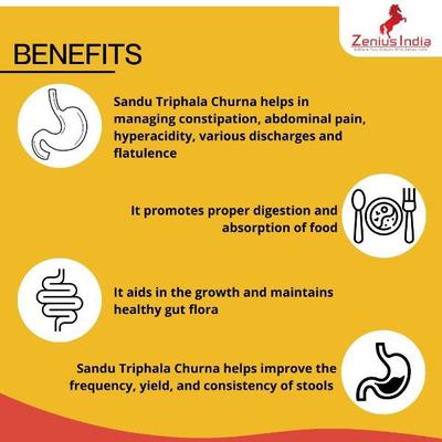 Zenius Constipation Churan Powder 100 gm - Speciality Medicines