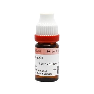Dr. Reckeweg Arnica Montana 200 Liquid 11 ml - Dilutions