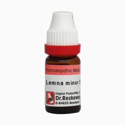 Dr. Reckeweg Lemna Minor 30 Liquid 11 ml - Dilutions