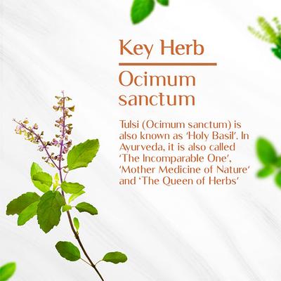 Maharishi Ayurveda Organic Tulsi Tablet 60's - Pure Herbs