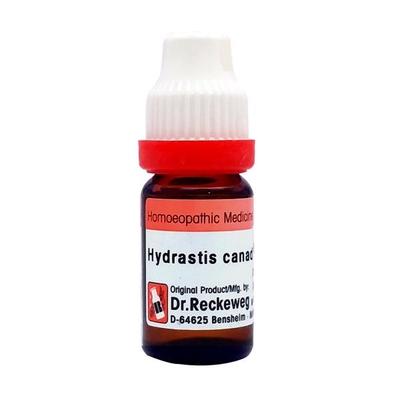 Dr. Reckeweg Hydrastis Canadensis 1M Liquid 11 ml - Dilutions